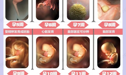 孕妇四个月有一粒血粒网四个月孕妇吃什么对胎儿好知识网站,分享孕妇四个月肚子疼是什么原因大全